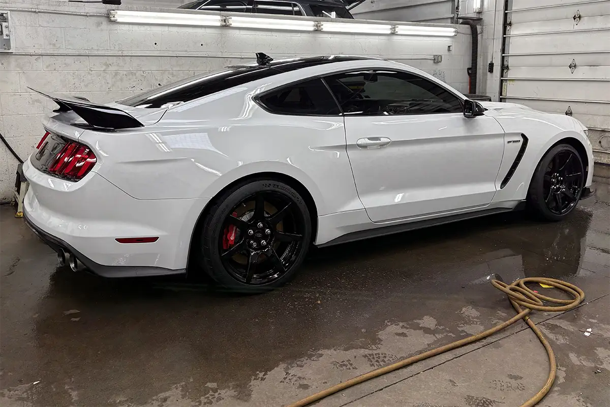 Freshly detailed Ford Shelby GT350 Buffalo, NY